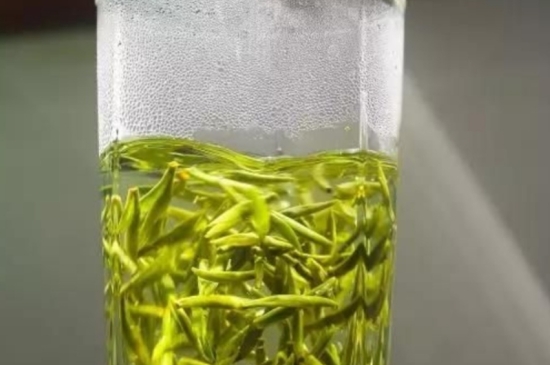 西湖龍井茶毫和發(fā)霉區(qū)別圖片，長霉的龍井茶葉會(huì)是什么樣？
