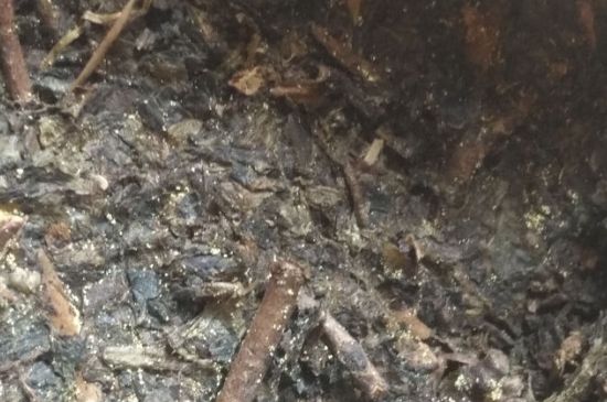 黑茶茯茶保存五大忌，茯茶收藏的注意事項