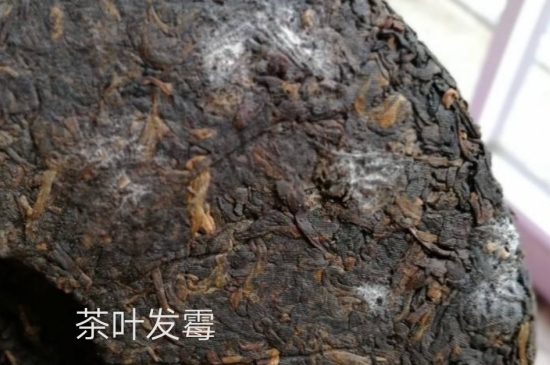 西湖龍井茶毫和發(fā)霉區(qū)別圖片，長霉的龍井茶葉會(huì)是什么樣？